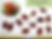 Thumbnail: Velvet apple mabolo butter fruit (Diospyros blancoi) seeds