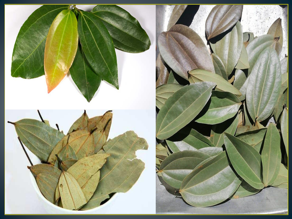 Thumbnail: Organic Sundried Ceylon Cinnamon Leaves "sela seeds"