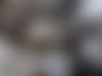 A Natural ‘Seal’ of Approval