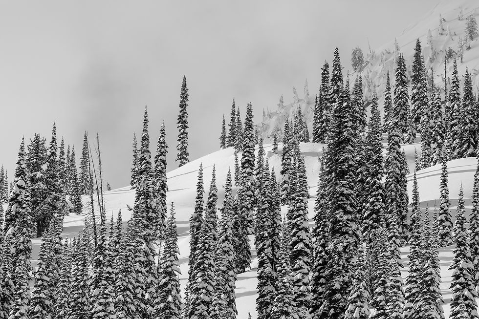 W16_0311_NN_Tyler Full Resolution-68.jpg