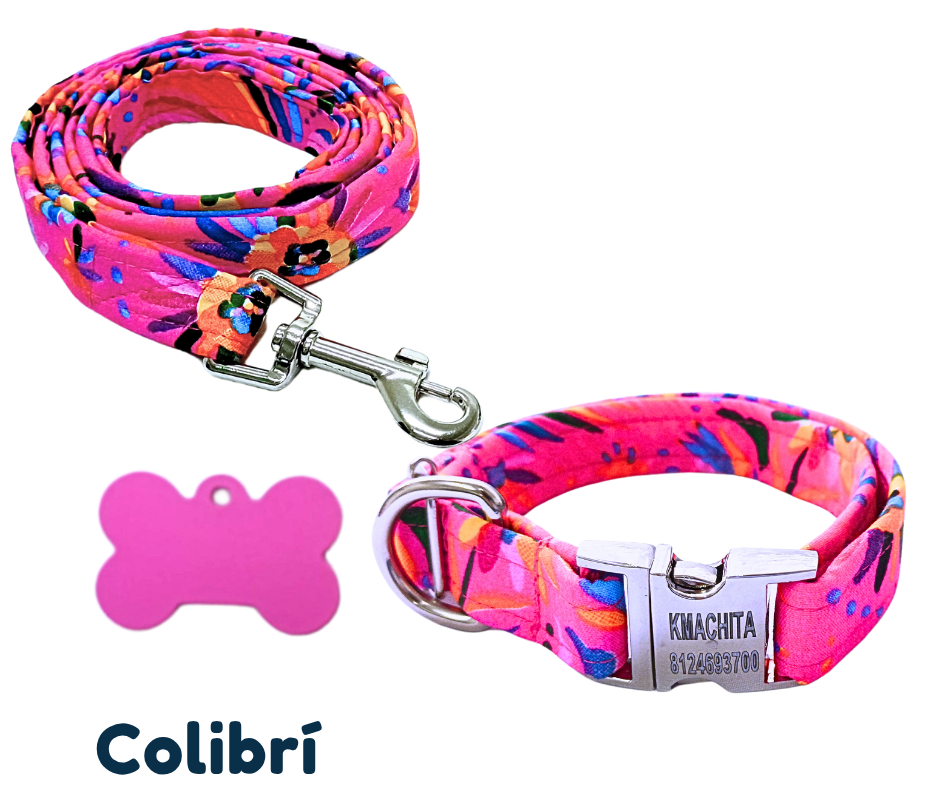 Collar broche premium. Colibrí