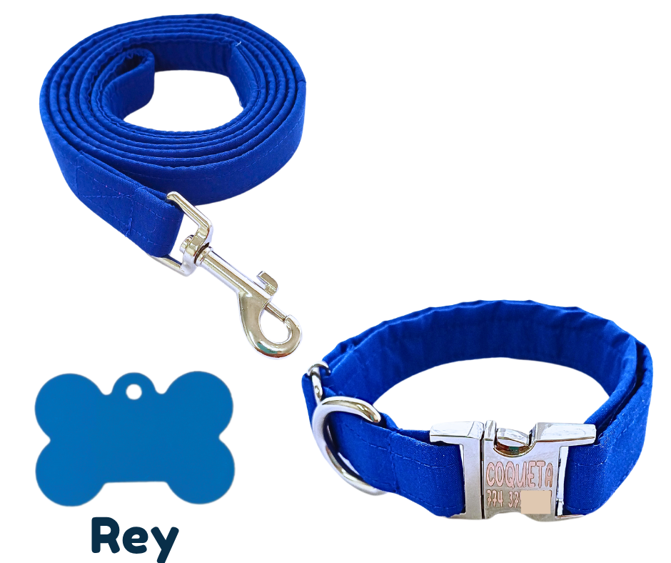 Collar broche premium. Rey