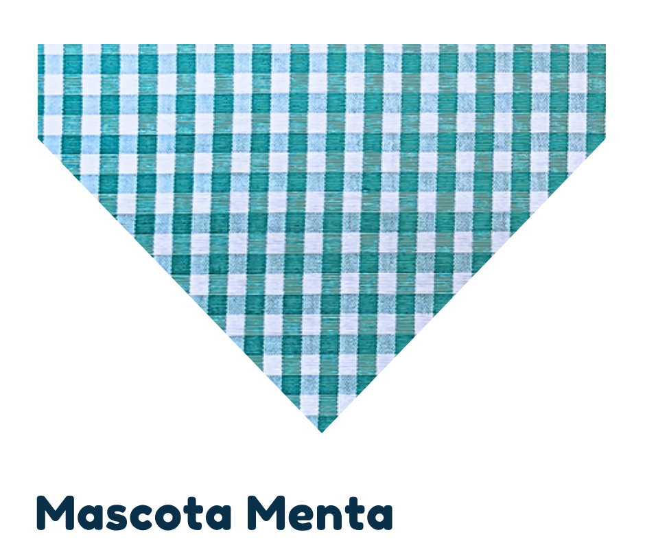 Paliacate o moño con collar ligero. Mascota Menta