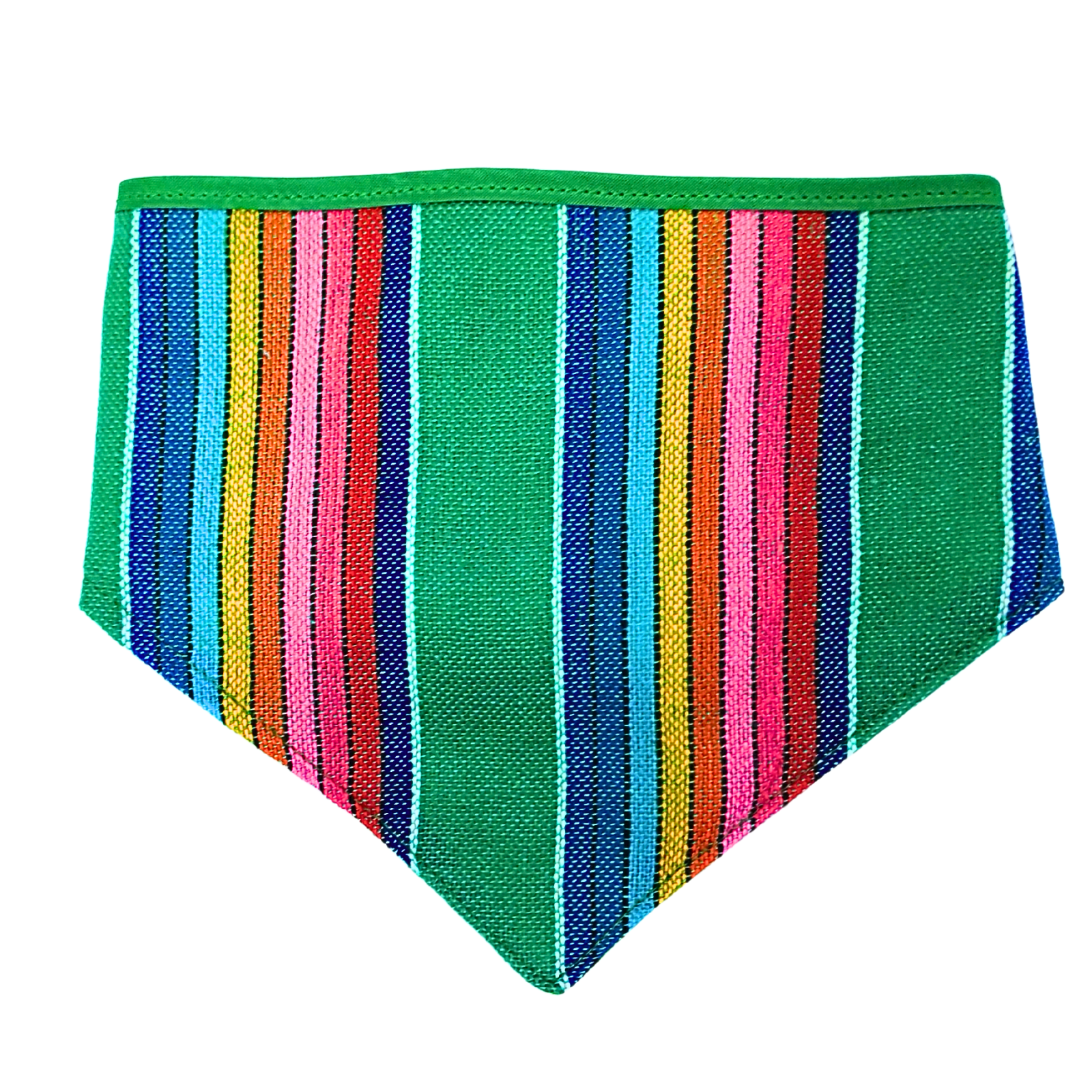 moño o paliacate.Nopalito