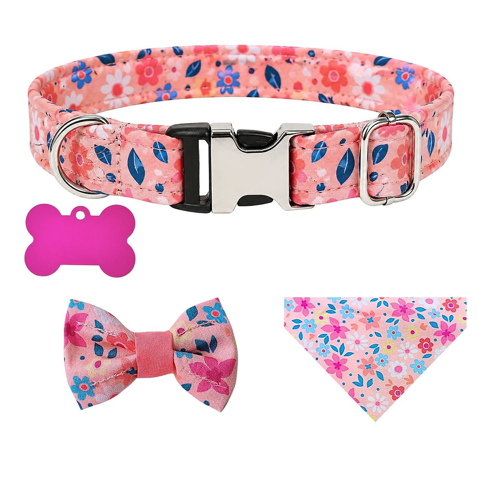 Miniatura: Collar de identificación. Durazno