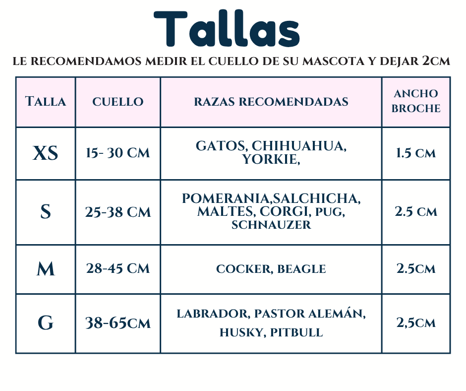 Miniatura: Collar broche premium. Rey