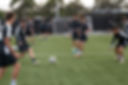 P1018764.jpg
