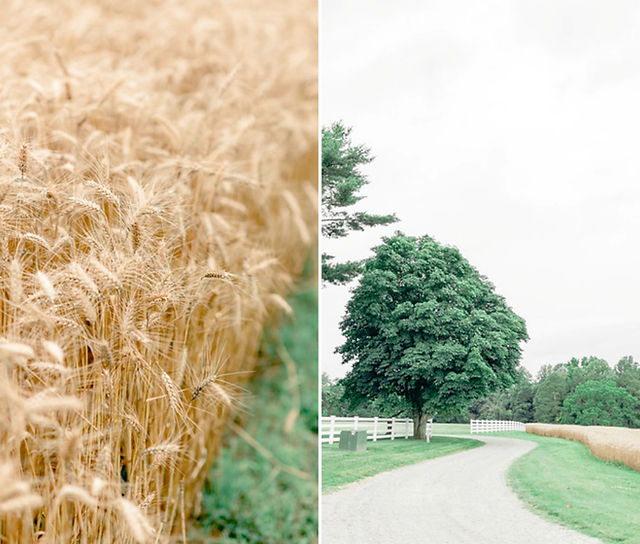  Wedding at Paynefield Farm in Tappahannock Virginia | Chrissy & Adam | Sarah Duke | Published Virginia Wedding Photographer