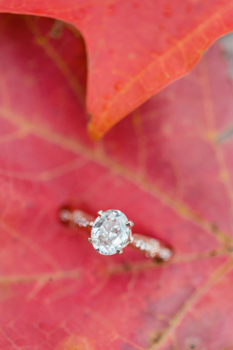 Richmond Virginia Wedding Photographer Virginia Affordable Wedding Photographer