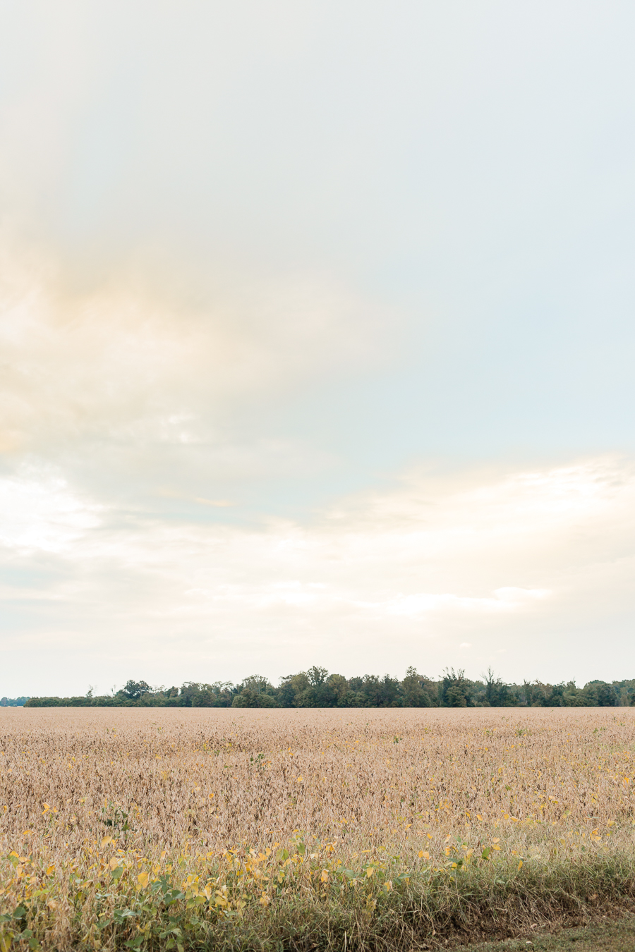 Richmond Virginia Wedding Photographer Virginia Affordable Wedding Photographer