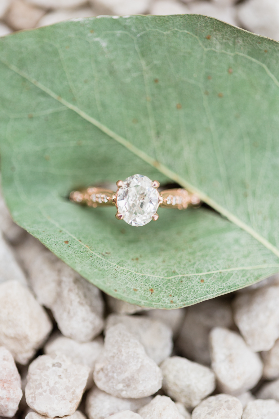 Richmond Virginia Wedding Photographer Virginia Affordable Wedding Photographer