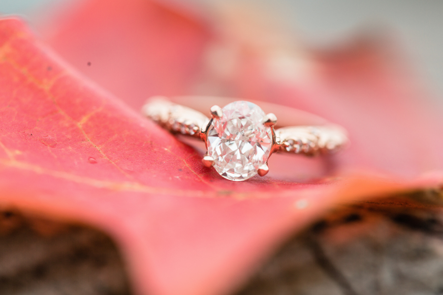 Richmond Virginia Wedding Photographer Virginia Affordable Wedding Photographer