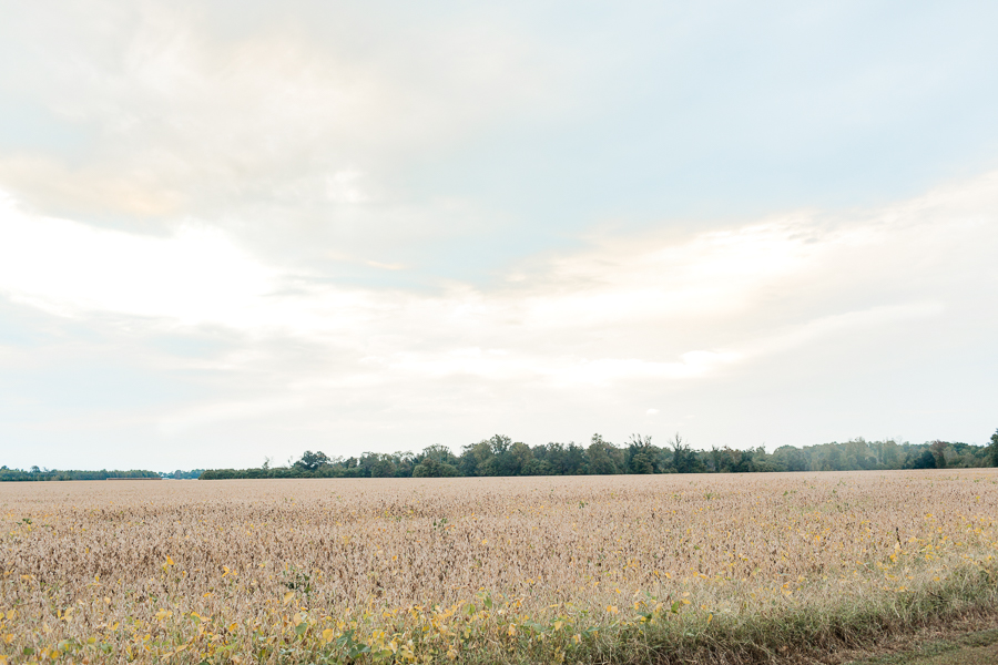 Richmond Virginia Wedding Photographer Virginia Affordable Wedding Photographer