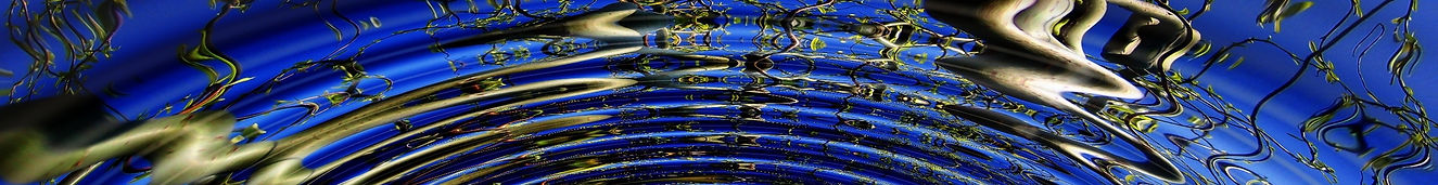 art-awareness-branches-268283.jpg
