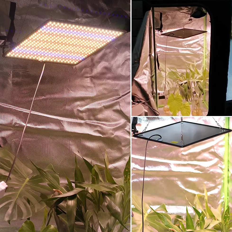 Thumbnail: LED Grow Light Full Spectrum Phyto Lamp