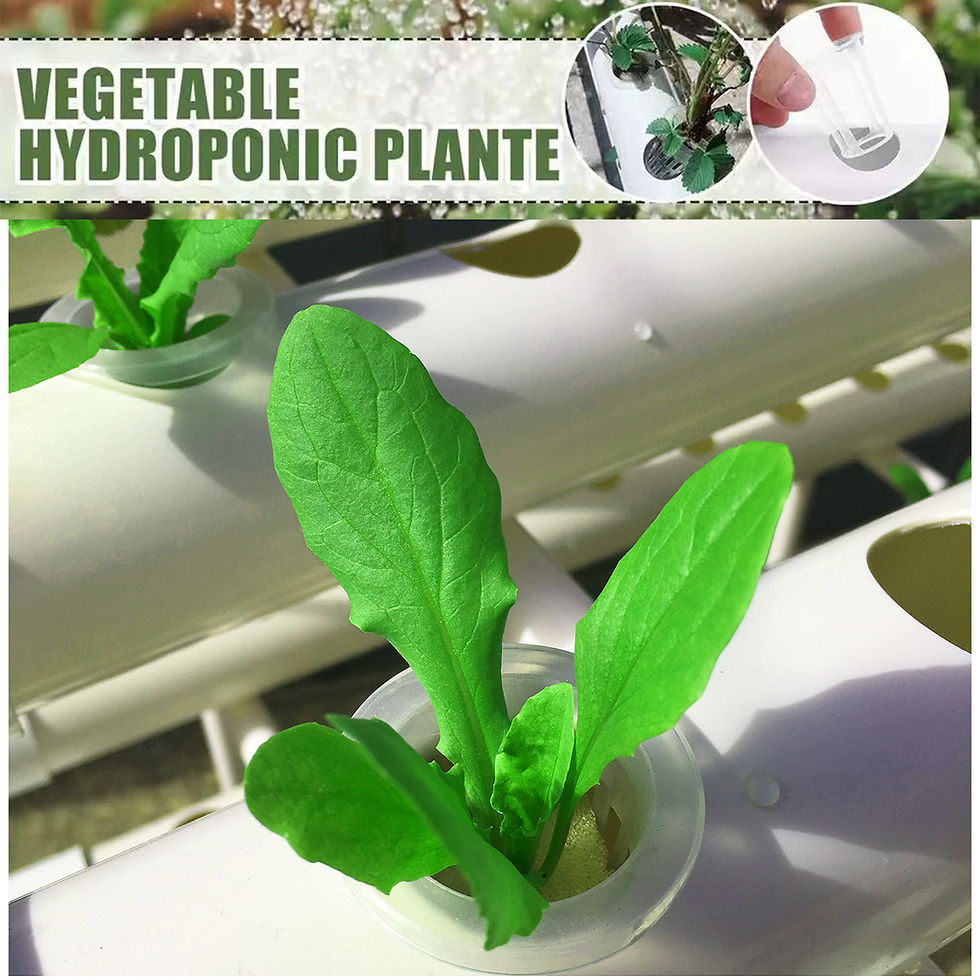 Thumbnail: Hydroponics Growing System Kits 36 Sites Food PVC-Pipe Hydroponic Garden Soilles