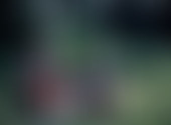 La chasse au miracle