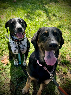 7d9817de-1a58-4cc1-89f3-ba66b456cef0