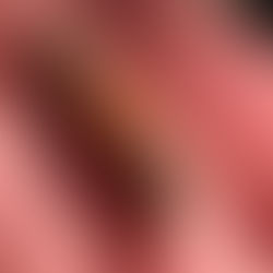 CRITTER SPOTLIGHT: White-blotched Heterocampa/Heterocampa umbrata