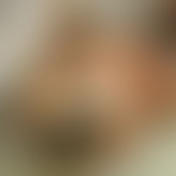 CRITTER SPOTLIGHT: Wood Frog (Lithobates sylvaticus)