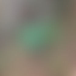 The doggie doo dilemma