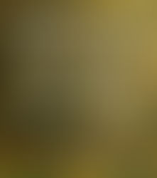 Invitation for Wildlife