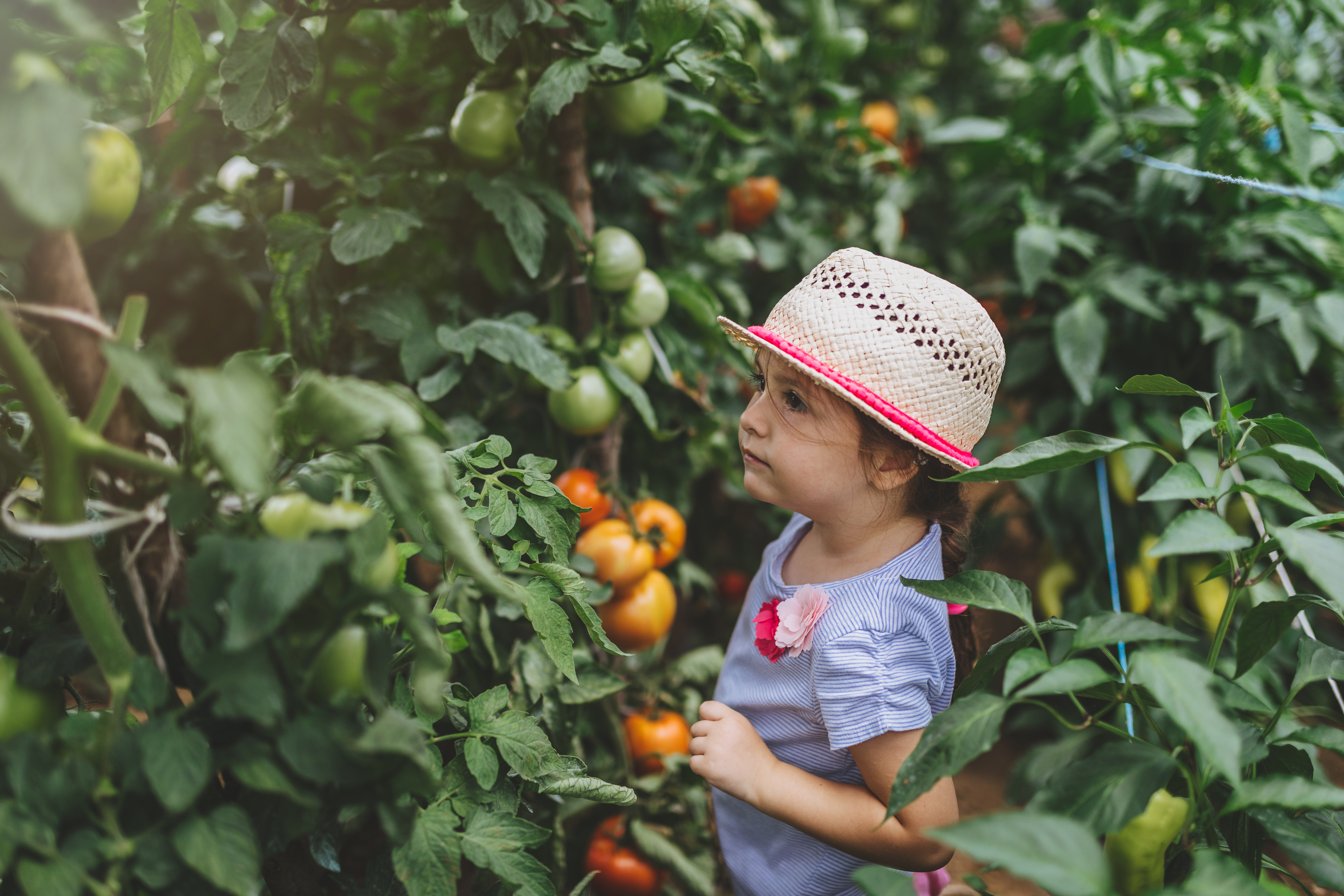 Child Picking Fruit