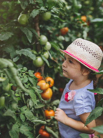 Child Picking Fruit