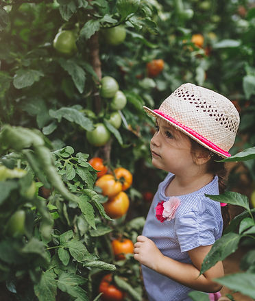 Child Picking Fruit