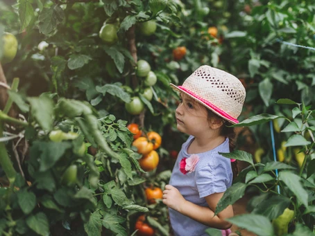 Growing and eating your own greens