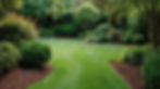 Complete Yard Care Solutions