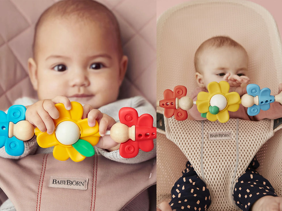 Thumbnail: BABYBJORN Bouncer Wooden Toy Flying Friends  嬰兒搖椅蝴蝶花花玩具