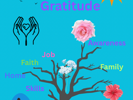 November Newsletter - Put Gratitude into Action With Your $$$$