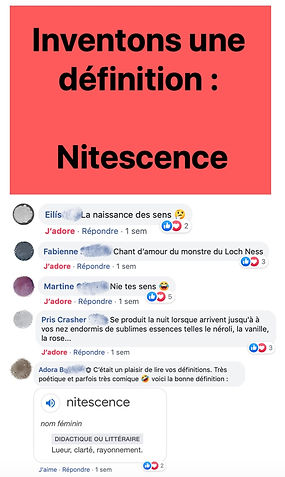 Illustration_sans_titre 3.jpg