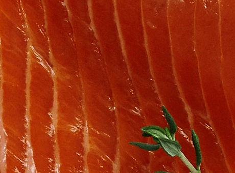FC_INGREDIENTS_INSET_SALMON.jpeg