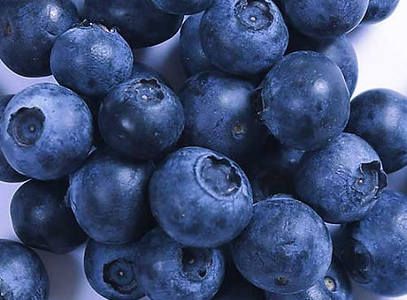 FC_INGREDIENTS_INSET_BLUEBERRIES.jpeg