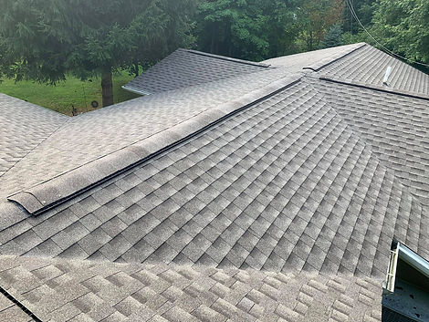 roof picture 1.jpeg