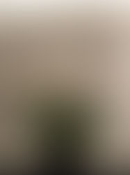 4月15日（土）　第８回　カノンカフェ開催決定