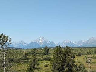 The Tetons peaks behind a grassy hill