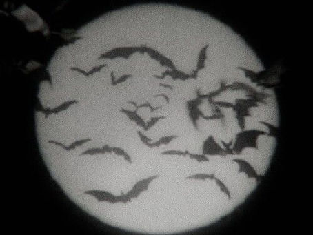 O guia definitivo de vampiros da Organização de Caçadores de São Paulo