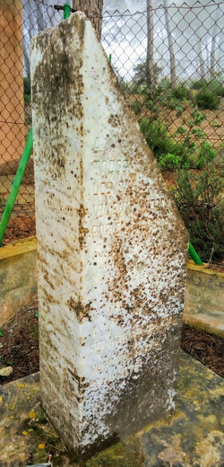 WhatsApp Image 2020-02-17 at 08.42