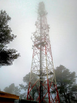 WhatsApp Image 2020-02-17 at 08.42