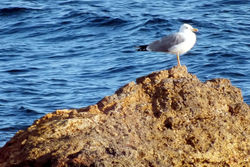 DSCF5692-1