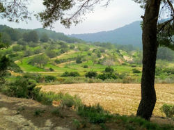 WhatsApp Image 2020-02-17 at 08.42