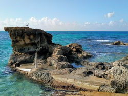 WhatsApp Image 2020-01-27 at 20.21