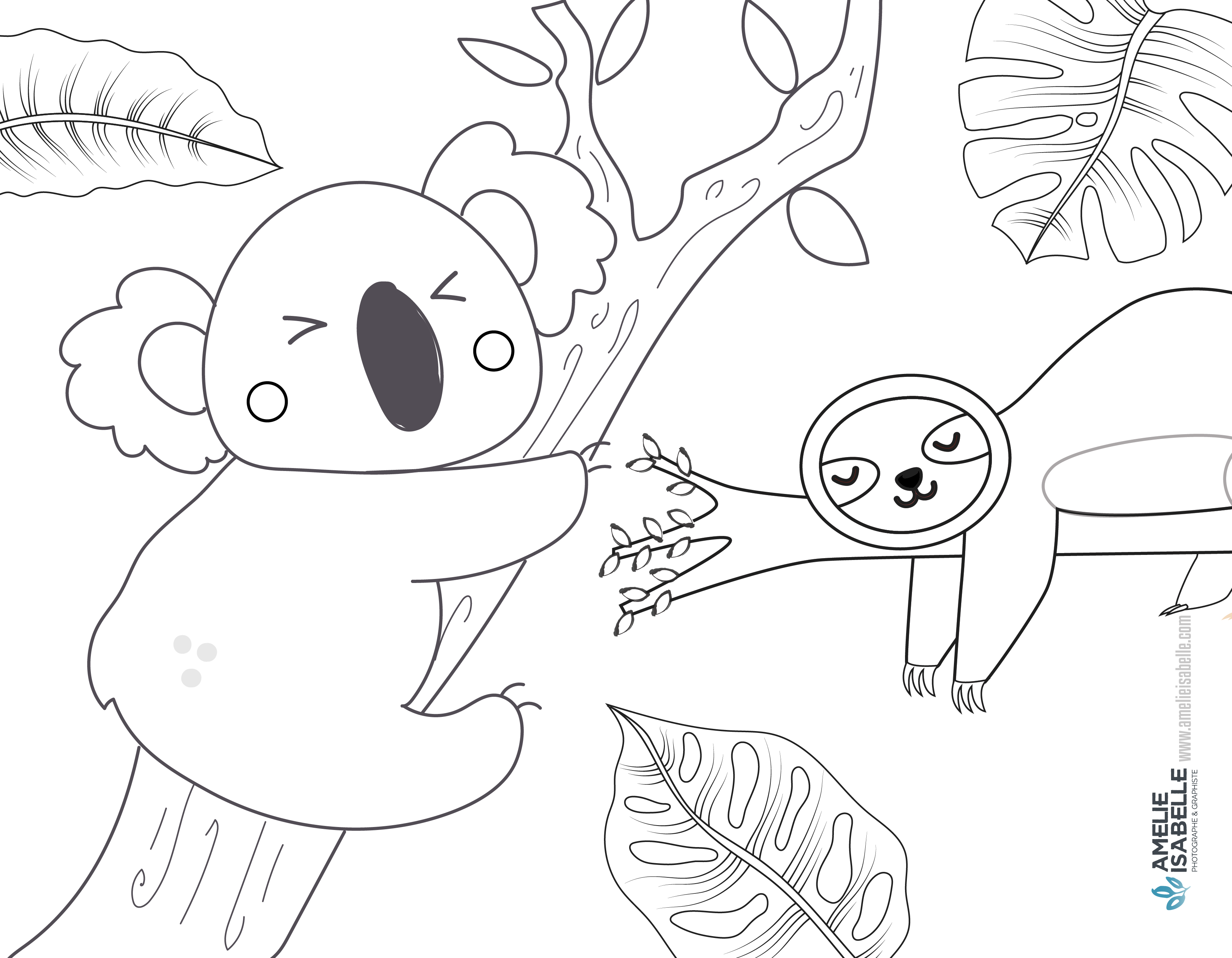 DESSIN - le koala et le paresseux