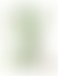 Aries Season - New Moon Blend & Healing Our Identity