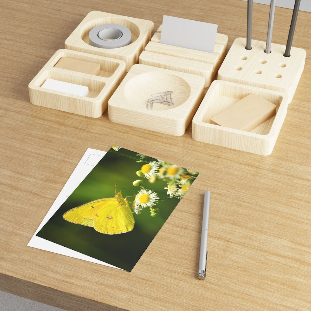 Butterfly Fine Art Postcards