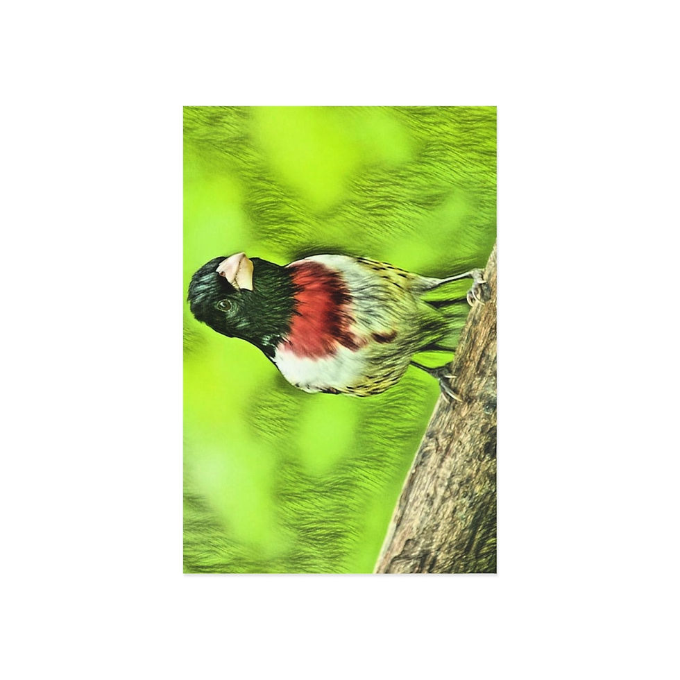Thumbnail: Bird Fine Art Postcards