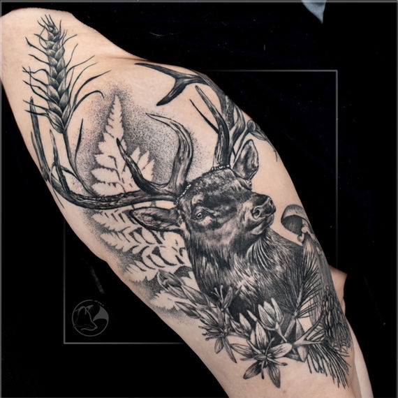 alyssa reeves elk_edited.jpg